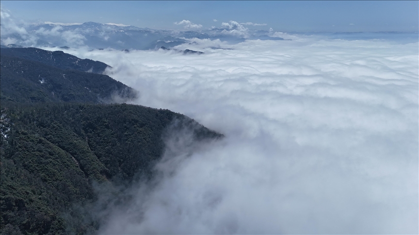 Ordu'da etkili olan sis hava ulaşımında aksamaya neden oluyor