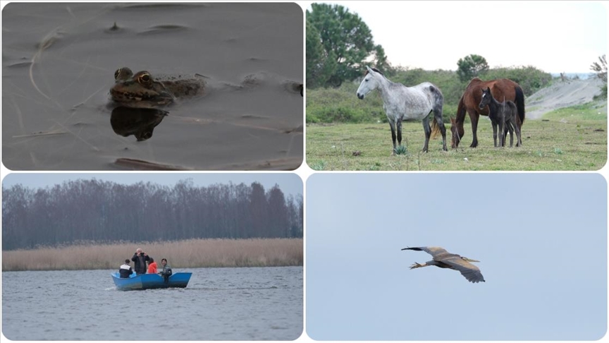 Gölardı Doğal Hayatı Koruma Sahası ve Miliç Lagünü doğa turizminde gelecek vadediyor