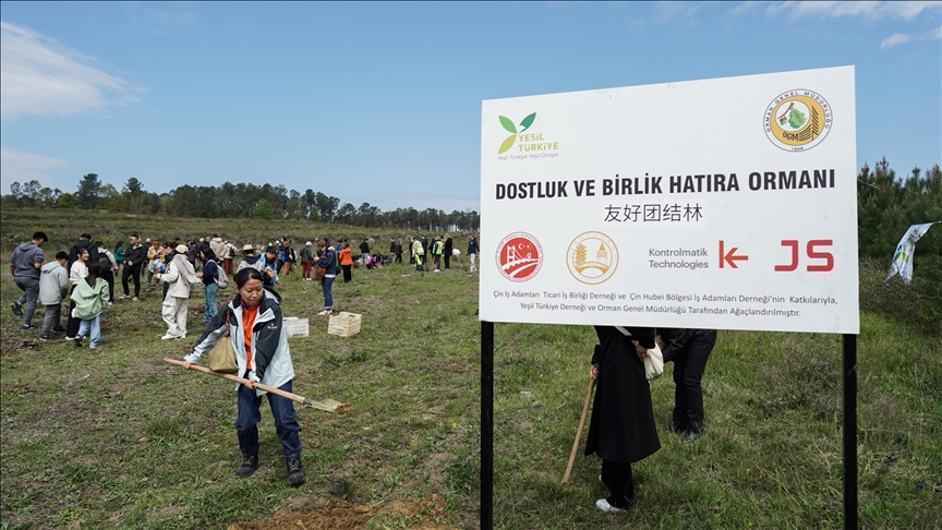 Türkiye, China mark friendship by planting 10,000 saplings Türkiye, China mark friendship by planting 10,000 saplings