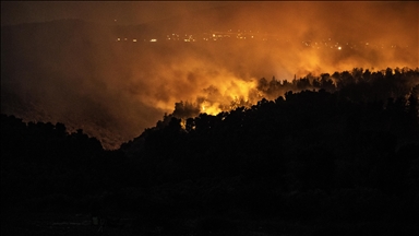 Fire erupts in northern Lebanon as winds fuel spread