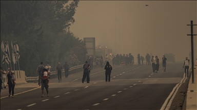 Israel pide ayuda para combatir el avance de incendios forestales 