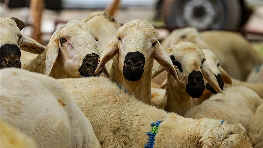 Kurban Hizmetlerinin Uygulanmasına Dair Tebliğ, Resmi Gazete'de