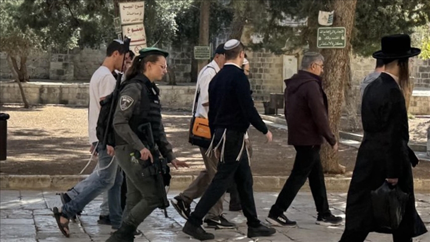 القدس.. مئات المستوطنين يقتحمون الأقصى بحماية الشرطة الإسرائيلية 