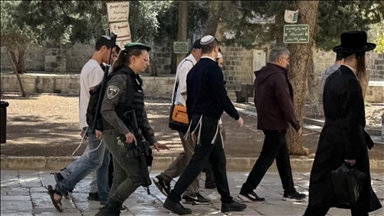 القدس.. مئات المستوطنين يقتحمون الأقصى بحماية الشرطة الإسرائيلية 