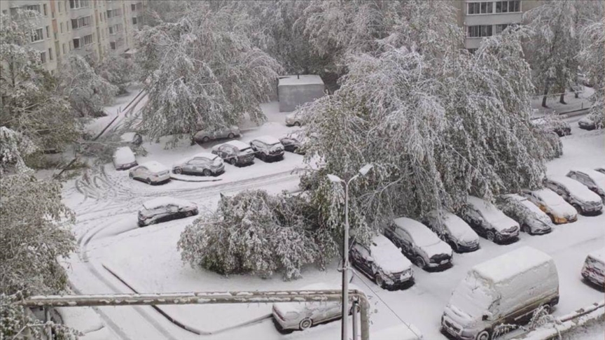 Из-за аномальной погоды без электроснабжения в Подмосковье остались 26 тыс. человек