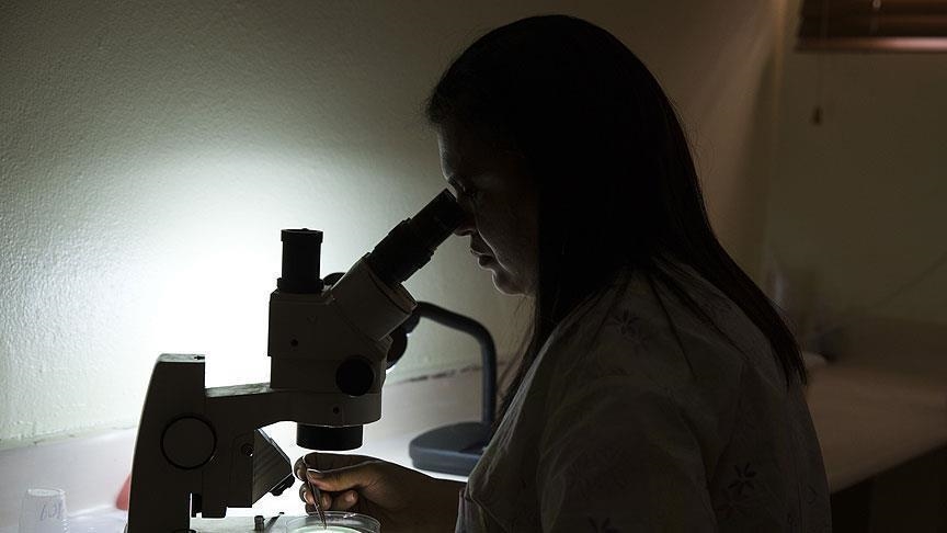 یەکەم حاڵەتی تای خوێنبەربوون لە هەرێم تۆمارکرا