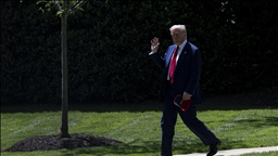 Trump to attend Gulf summit during Saudi Arabia trip: Report