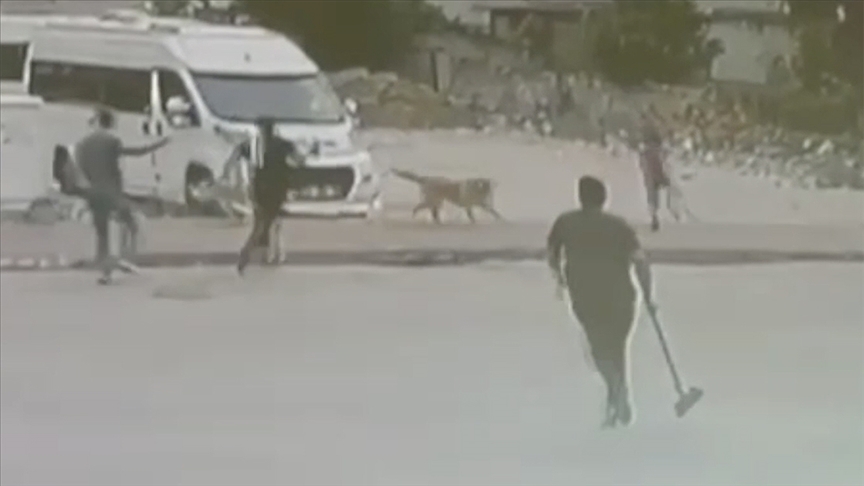 Adana'da sahipsiz köpeklerin saldırdığı 2 çocuk esnafın yardımıyla kurtarıldı