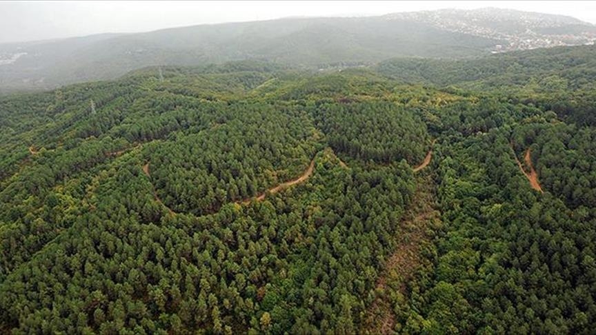 Orman yangınlarının önlenmesine yönelik "Orman Benim" kampanyası bu yıl 9 Mayıs'ta düzenlenecek