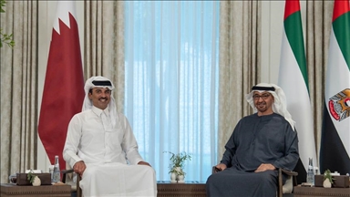 رئيس الإمارات وأمير قطر يبحثان تعزيز التعاون وقضايا المنطقة 