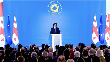 Georgia's premier elected head of ruling Georgian Dream party