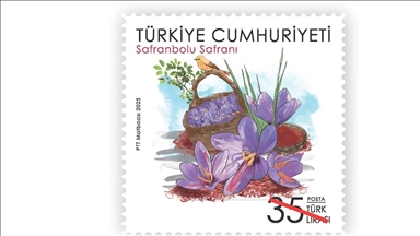 PTT'den "Safranbolu Safranı" konulu anma pulu ve ilk gün zarfı