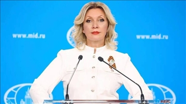 МИД РФ выразил глубокую обеспокоенность усилением военной конфронтации между Индией и Пакистаном