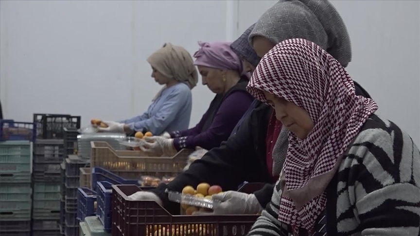 TKDK'den Hatay'daki depremzede girişimcilere 200 milyon liralık ilave destek