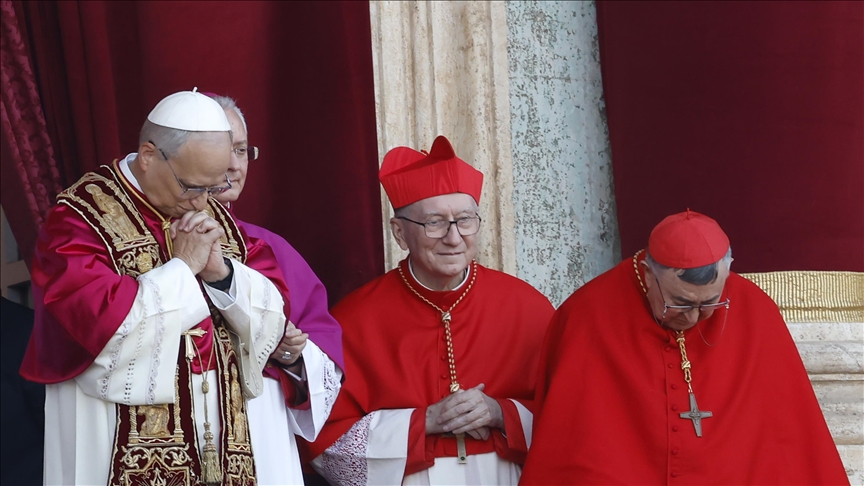FACTBOX - Pope Leo's stance on key issues