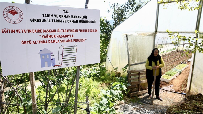 Üreticiler seralarda yetiştirdikleri sebzeleri yağmur hasadı yöntemiyle suluyor