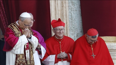 FACTBOX - Pope Leo's stance on key issues