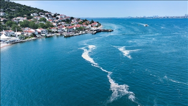 Marmara Denizi'nde Kınalıada açıkları ile Bursa kıyılarında müsilaj görüldü