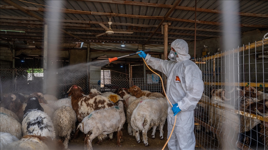 ھەڵمەتێک دژ بە مەترسی بڵاوبوونەوەی تای خوێنبەربوون لە دھۆک ئەنجام دەدرێت