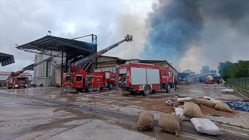 Sakarya'da fındık kırım fabrikasında çıkan yangın kontrol altına alındı