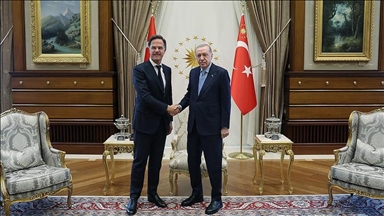 أردوغان وروته يبحثان التطورات المتعلقة بحرب روسيا وأوكرانيا 