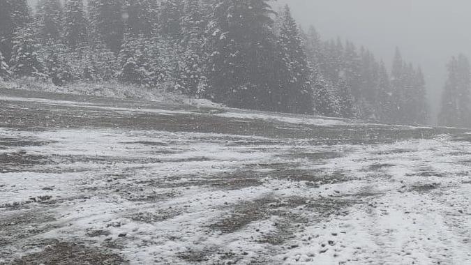 Ilgaz Dağı eteklerine kar yağdı