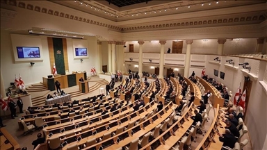 Парламент Грузии осудил принятый Конгрессом США «Акт MEGOBARI»
