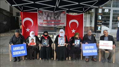 Muş'ta evlatlarına kavuşmak için eylem yapan aileler "Terörsüz Türkiye" sürecinden memnun
