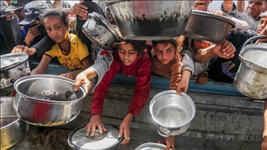Palestinian envoy to UN blames Israel for 'engineered starvation' in Gaza