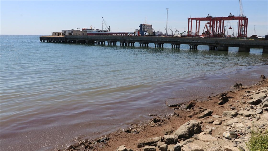 Tekirdağ'da kuvvetli rüzgar nedeniyle sahilin bir kısmına kırmızı yosun birikti