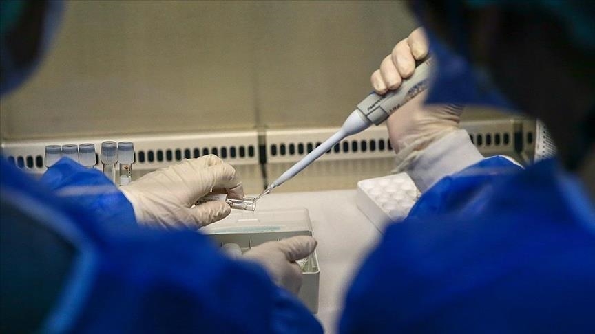 Death toll from tropical disease outbreak in northern Australia climbs to 31