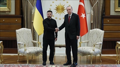 دیدار اردوغان و زلنسکی در آنکارا آغاز شد