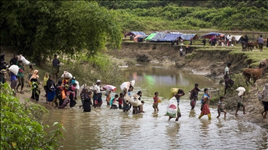 UN expert slams India's reported expulsion of Rohingya refugees as 'outrageous'