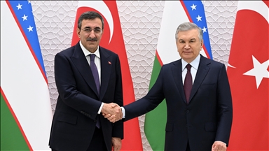 Cumhurbaşkanı Yardımcısı Yılmaz, Özbekistan Cumhurbaşkanı Mirziyoyev tarafından kabul edildi