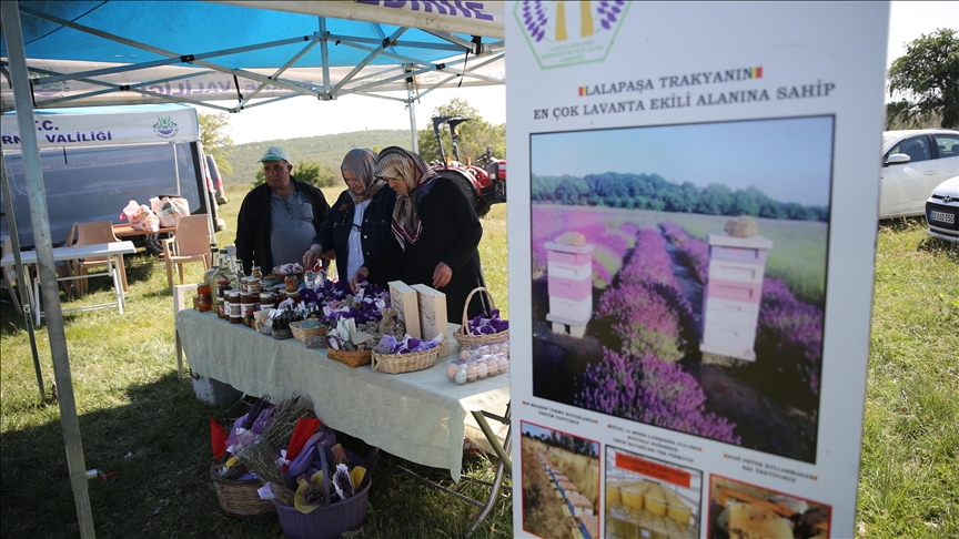 Arıcılığı doğa turizmiyle birleştiren "apiturizm" faaliyetleri Edirne'nin turizm potansiyelini artıracak