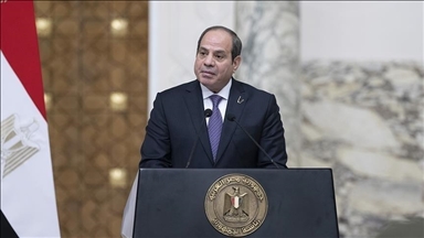 السيسي يطالب ترامب ببذل جهود وضغوط لوقف الحرب في غزة 
