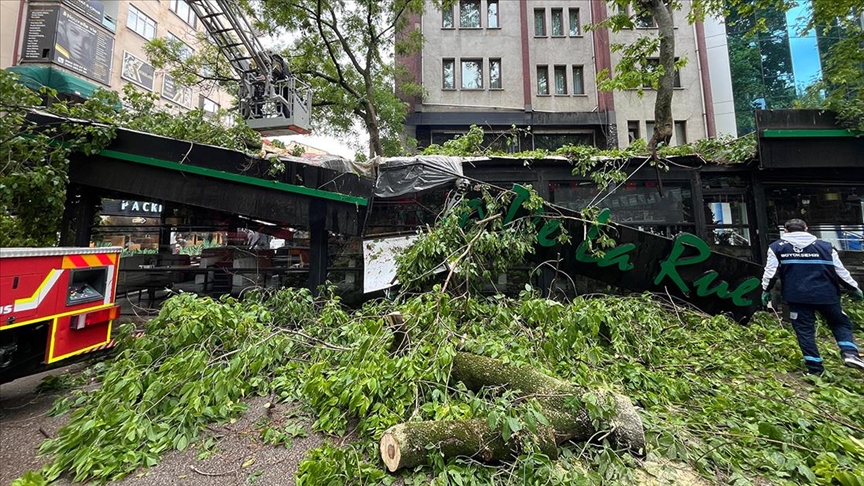 Kocaeli'de şiddetli rüzgarda devrilen çınar ağacı kafede hasara yol açtı