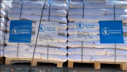 Israel says it will allow very limited quantity of food into Gaza
