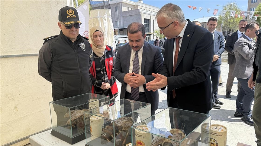 Ardahan'da "Dünya Arı Günü" etkinliği düzenlendi