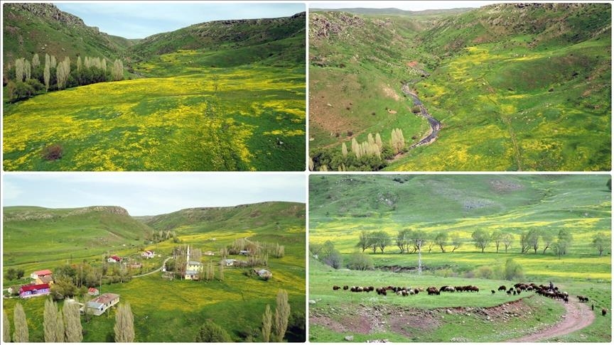 هاتنی وەرزی بەهار لە ئاگری