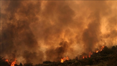 Wildfires rage across US state of Arizona, with over 8,000 hectares burned