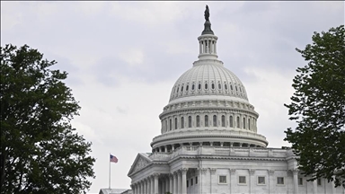 Soutien de Washington à Israël : Des manifestants interrompent l'audition du Secrétaire d'Etat américain au Sénat