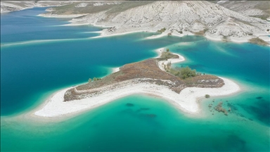 ıⲹ'ın martılara özel adası