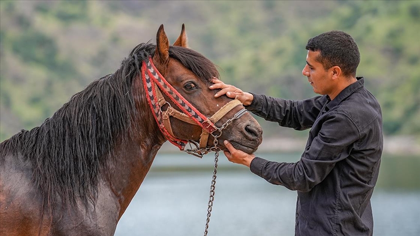 Rahvan atı "Boyka" kaslarını Fırat Nehri'nin serin sularında geliştiriyor