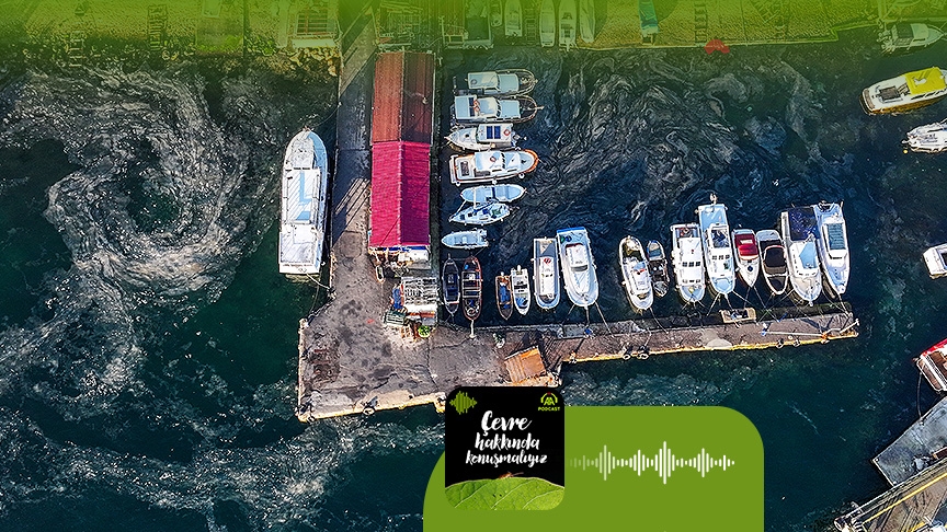 Marmara’daki müsilaj deniz trafiğini nasıl etkiliyor?