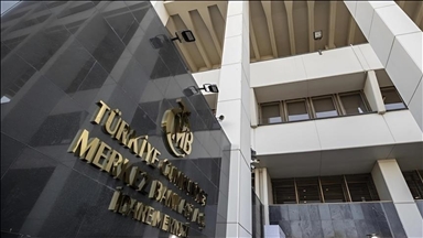 Türkiye's external assets reach $378B in March