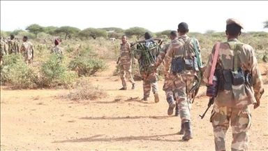 Top al-Shabaab leader among 45 terrorists killed in military operations in Somalia