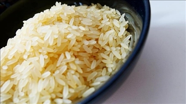 Le ministre japonais de l’Agriculture démissionne après une polémique liée à ses propos sur le riz 