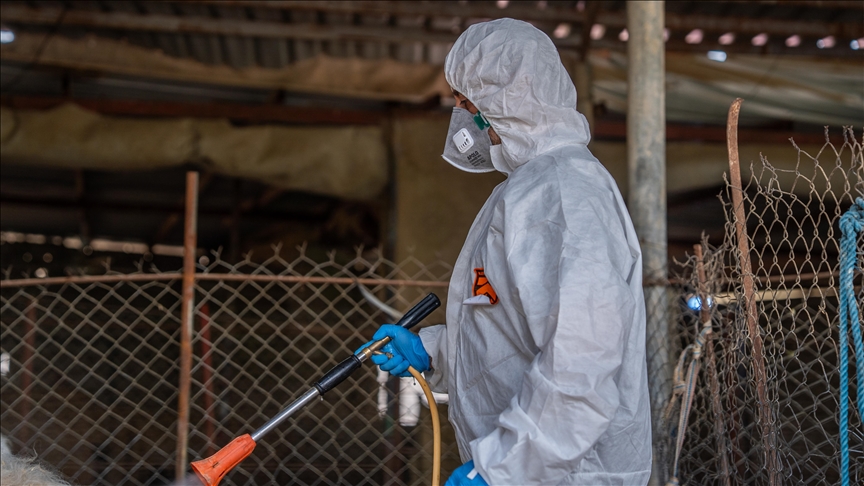 تووشبوویەکی دیکەی تای خوێنبەربوون لە دهۆک تۆمار کرا