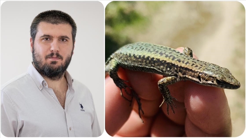 Keşfettiği kertenkele türüne vefat eden annesinin ismini verdi
